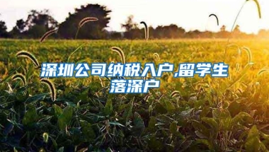 深圳公司纳税入户,留学生落深户
