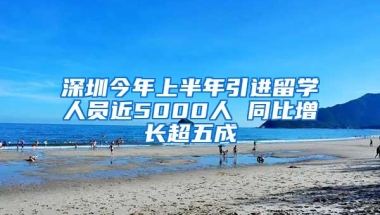 深圳今年上半年引进留学人员近5000人 同比增长超五成
