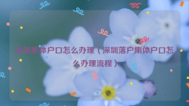 深圳集体户口怎么办理（深圳落户集体户口怎么办理流程）