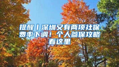 提醒丨深圳又有两项社保费率下调！个人参保攻略看这里