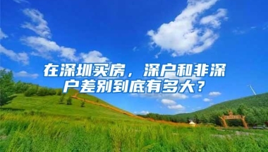 在深圳买房，深户和非深户差别到底有多大？