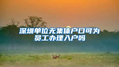 深圳单位无集体户口可为员工办理入户吗