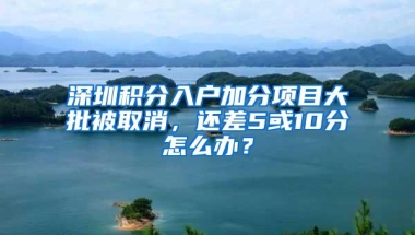 深圳积分入户加分项目大批被取消，还差5或10分怎么办？