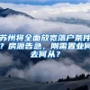 苏州将全面放宽落户条件？房源告急，刚需置业何去何从？