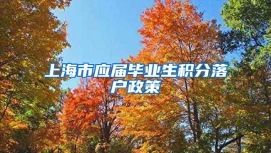 上海市应届毕业生积分落户政策