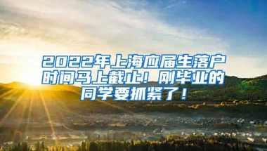 2022年上海应届生落户时间马上截止！刚毕业的同学要抓紧了！