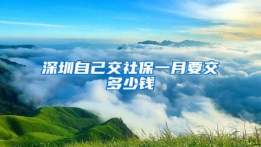 深圳自己交社保一月要交多少钱