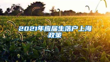 2021年应届生落户上海政策