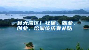 揾食大湾区！社保、就业、创业、培训统统有补贴