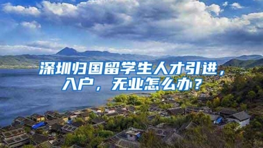 深圳归国留学生人才引进，入户，无业怎么办？
