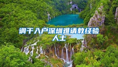 调干入户深圳难请教经验人士