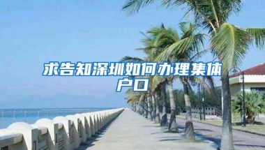 求告知深圳如何办理集体户口
