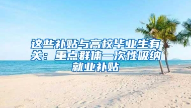 这些补贴与高校毕业生有关：重点群体一次性吸纳就业补贴