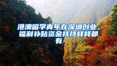 港澳留学青年在深圳创业，福利补贴资金扶持样样都有