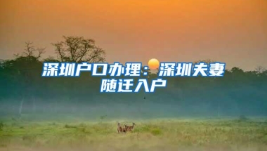 深圳户口办理：深圳夫妻随迁入户