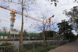 经验详细：深圳集体户口如何迁出轻松解决的秘诀！