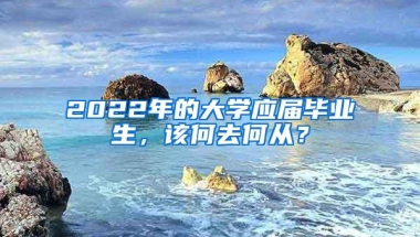 2022年的大学应届毕业生，该何去何从？