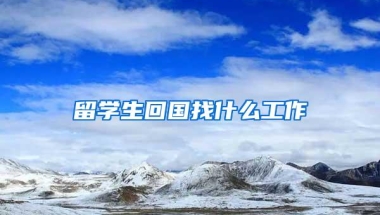 留学生回国找什么工作