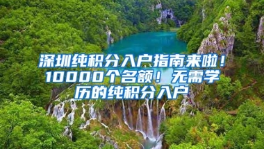 深圳纯积分入户指南来啦！10000个名额！无需学历的纯积分入户