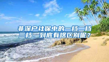 非深户社保中的一档二档三档，到底有啥区别呢？