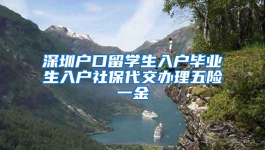 深圳户口留学生入户毕业生入户社保代交办理五险一金