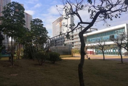 关于深圳市落户硕士的实用冷知识，99%你都不知道！