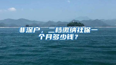 非深户，二档缴纳社保一个月多少钱？