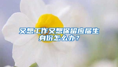又想工作又想保留应届生身份怎么办？