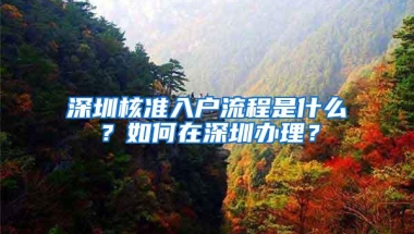 深圳核准入户流程是什么？如何在深圳办理？