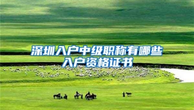 深圳入户中级职称有哪些入户资格证书