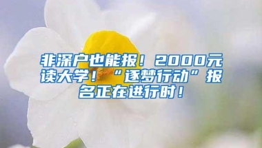 非深户也能报！2000元读大学！“逐梦行动”报名正在进行时！