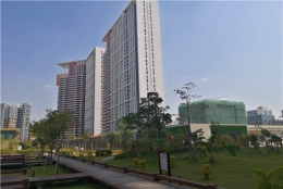 我成功搞定深圳市集体户口……还省下钱！