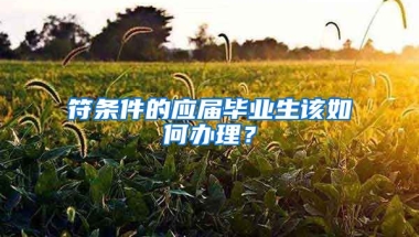 符条件的应届毕业生该如何办理？