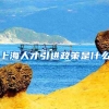 上海人才引进政策是什么