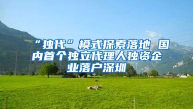 “独代”模式探索落地 国内首个独立代理人独资企业落户深圳