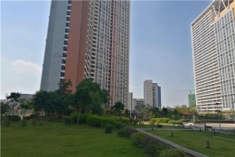 给我5分钟，我就会教你解决深圳集体户口查询的新方法，既有效又省钱！