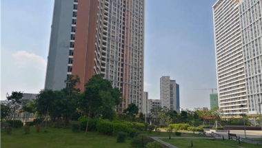 给我5分钟，我就会教你解决深圳集体户口查询的新方法，既有效又省钱！