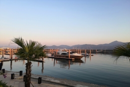 发现简单的海归在深圳入户有什么好处应对方法，而且效果还非常的好！