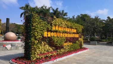 深圳的集体户口有用吗越来越简单，这是真的吗