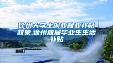 徐州大学生创业就业补贴政策,徐州应届毕业生生活补贴