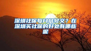 深圳社保每月几号交？在深圳买社保的好处有哪些呢