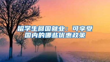 留学生回国就业：可享受国内的哪些优惠政策
