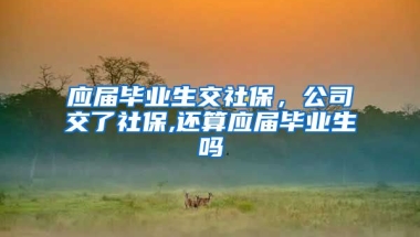 应届毕业生交社保，公司交了社保,还算应届毕业生吗