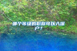 哪个等级的职称可以入深户？