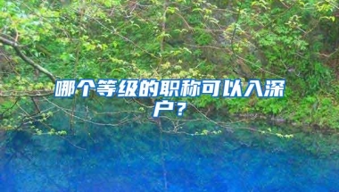哪个等级的职称可以入深户？