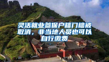 灵活就业参保户籍门槛被取消，非当地人员也可以自行缴费