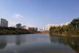 博士入深圳户口简单、快捷应对方法，你做对了吗？