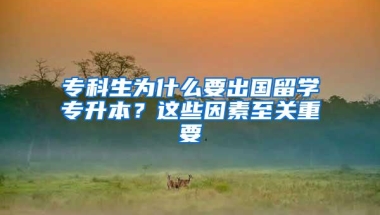 专科生为什么要出国留学专升本？这些因素至关重要