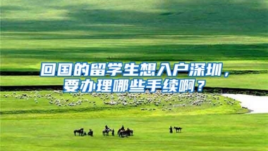 回国的留学生想入户深圳，要办理哪些手续啊？