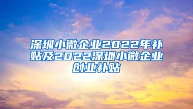 深圳小微企业2022年补贴及2022深圳小微企业创业补贴